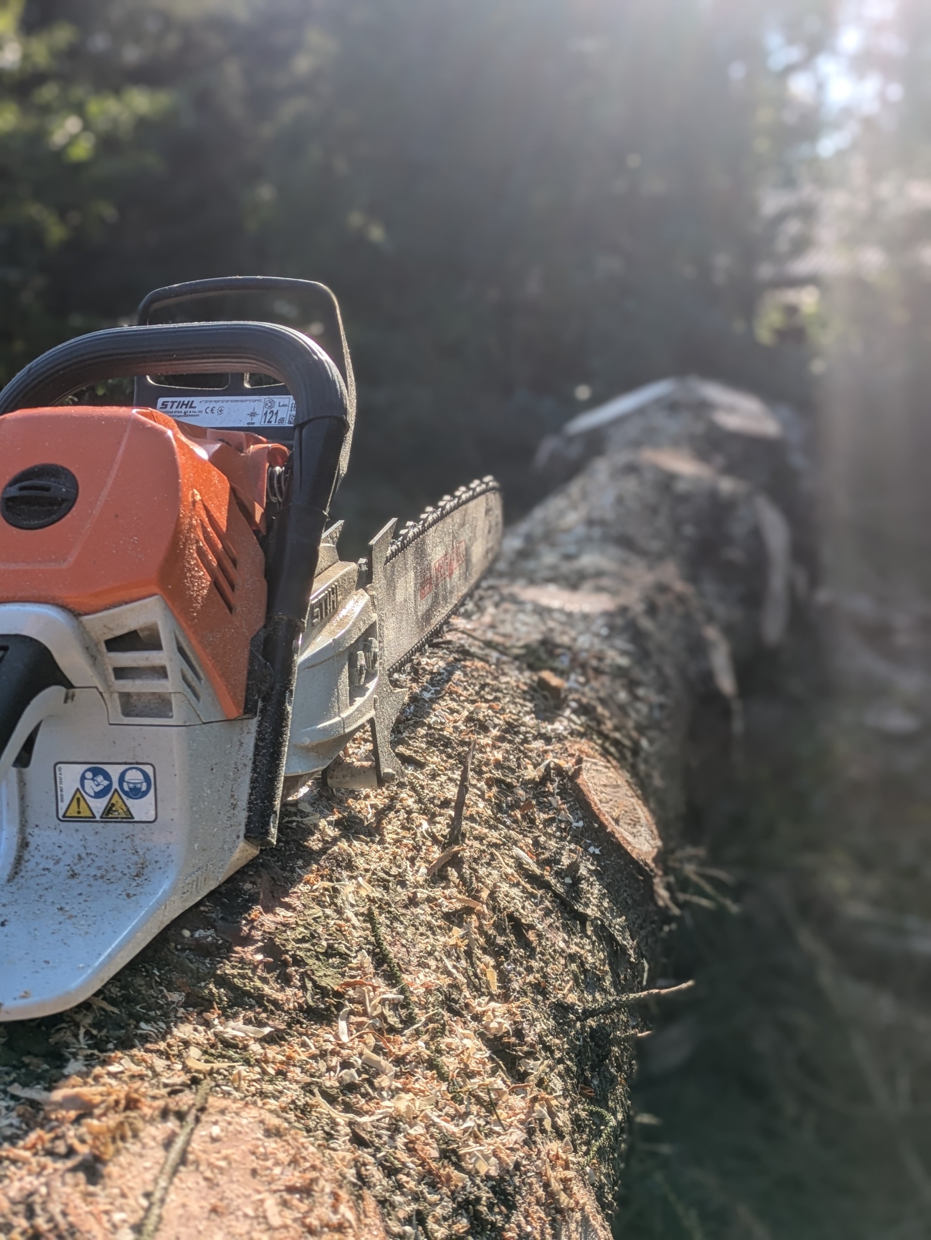 Motorsav ligger på fældet træ