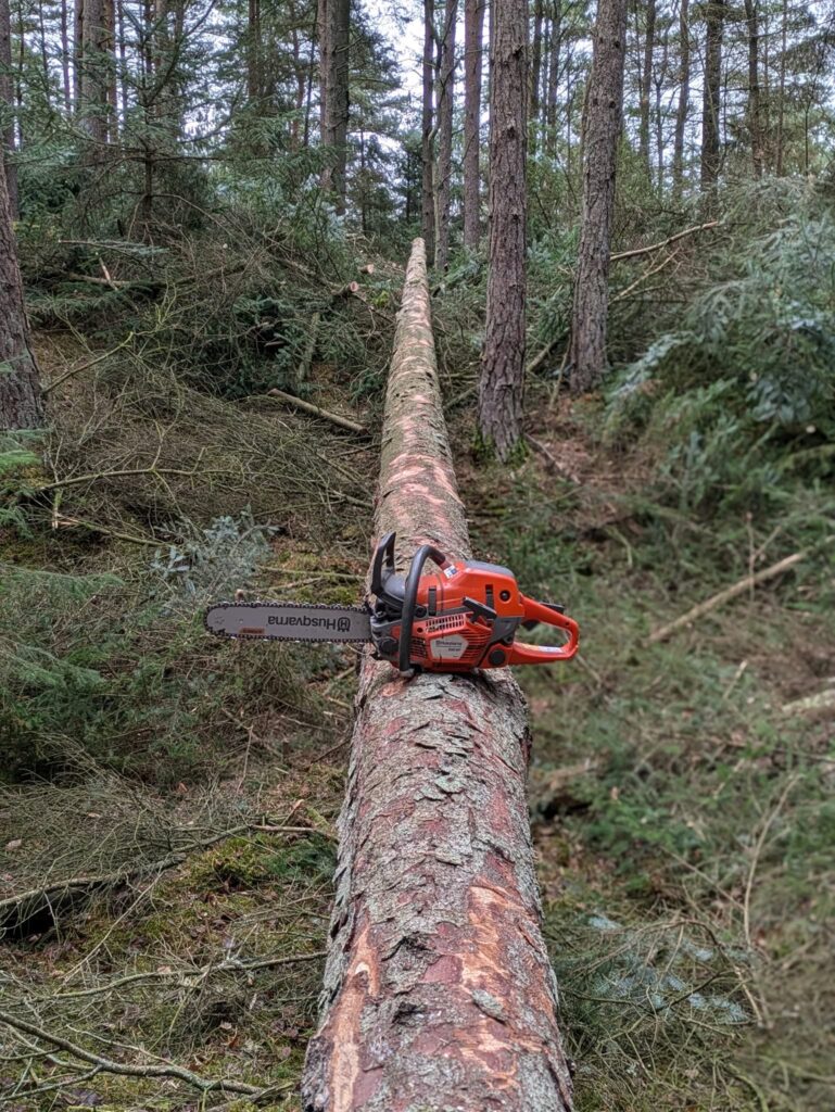 skovarbejde Thy