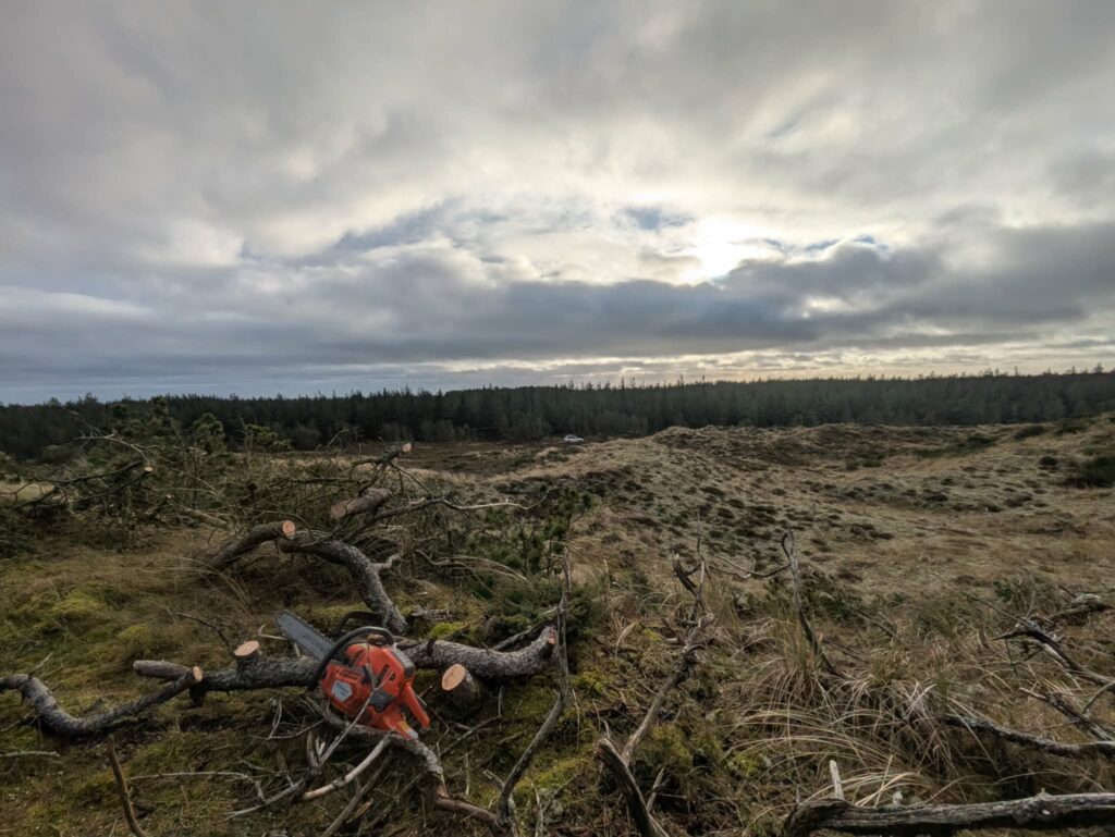 Naturpleje og rydning omkring hegn i Thy
