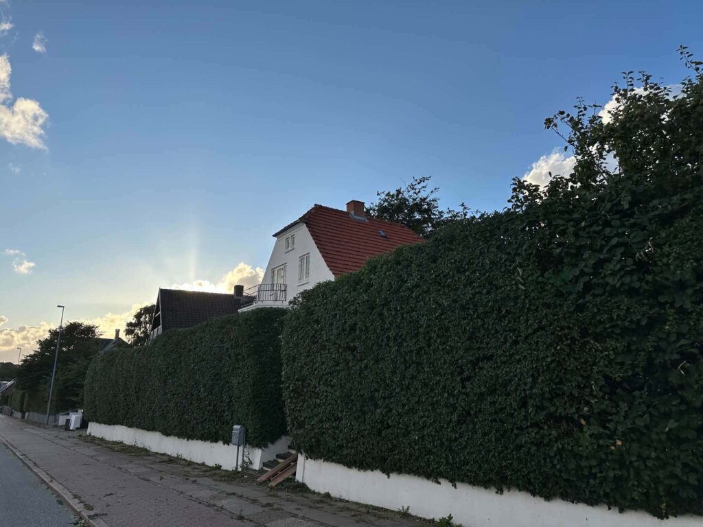 hækklipning i Thisted