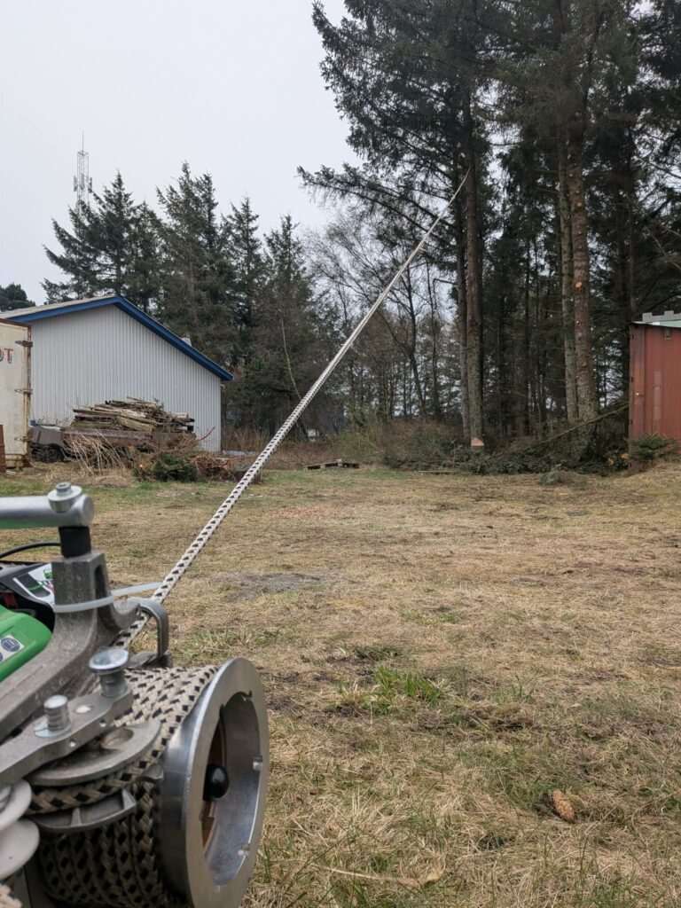 Sikker træfældning af større træer